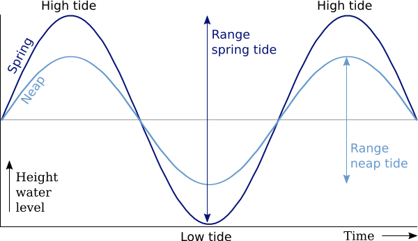 tides-classification-and-explanation-by-pritish-halder