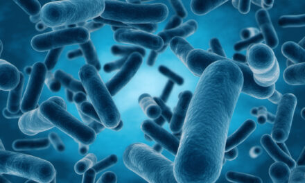 A Bacteria Present Human Body inside- Lactobacillus