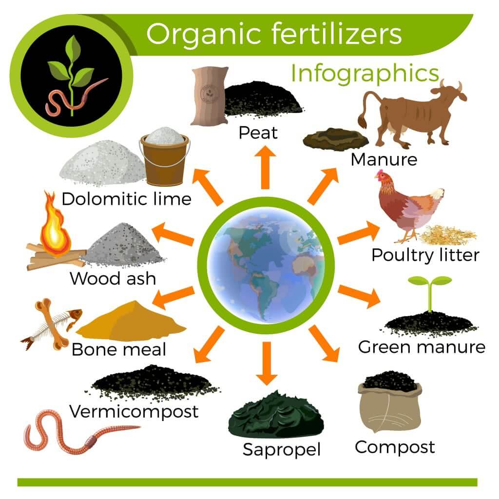 Inorganic Fertilizer Meaning In Tamil