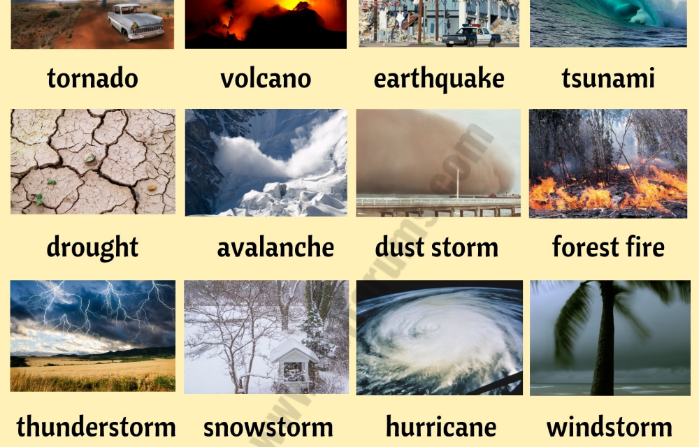 Types of Natural disaster with description