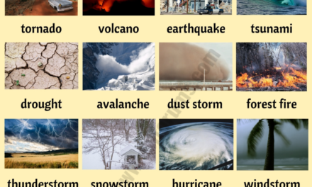 Types of Natural disaster with description
