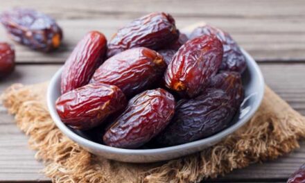 Medjool Dates – nutritional content, benefits, and uses